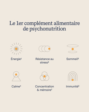 L’Essentiel