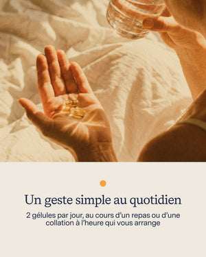 L’Essentiel