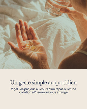 L’Essentiel