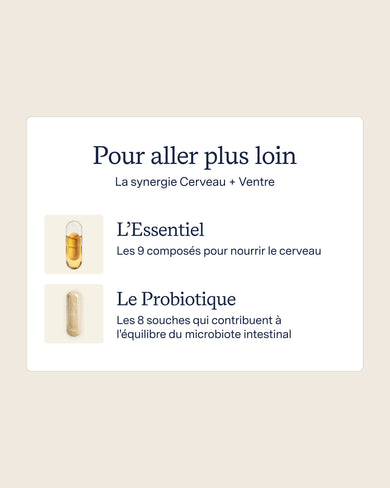 L’Essentiel