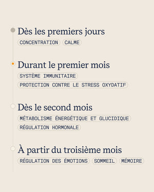 L’Essentiel